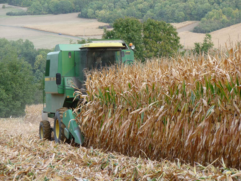 BTSA secteur agricole