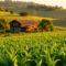 Où faire une formation en agroalimentaire à Paris ? Top 5 des écoles et établissements à connaître